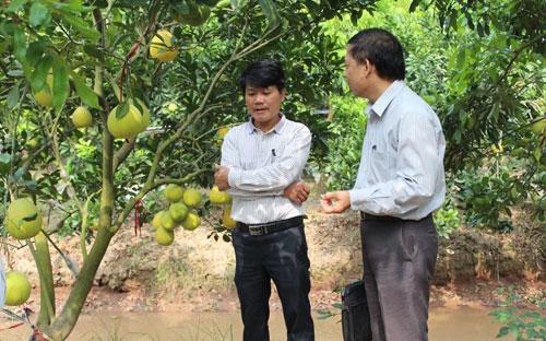 Một số mô hình tại 3 miền Bắc, Trung, Nam đã được lựa chọn ngẫu nhiên để tiến hành thẩm định thực tế.<br>