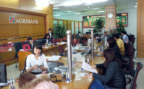 Khách hang giao dịch tại Agribank.