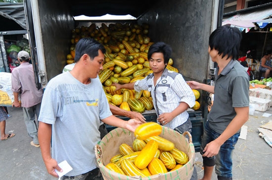 Cục Quản lý giá (Bộ Tài chính) đang tập hợp báo cáo của các sở tài chính địa phương về tình hình đăng ký lại giá cước vận tải sau khi giá xăng dầu giảm mạnh - Ảnh: Tuổi trẻ.
