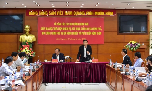 Thủ tướng yêu cầu Bộ Nông nghiệp giải trình 7 vấn đề