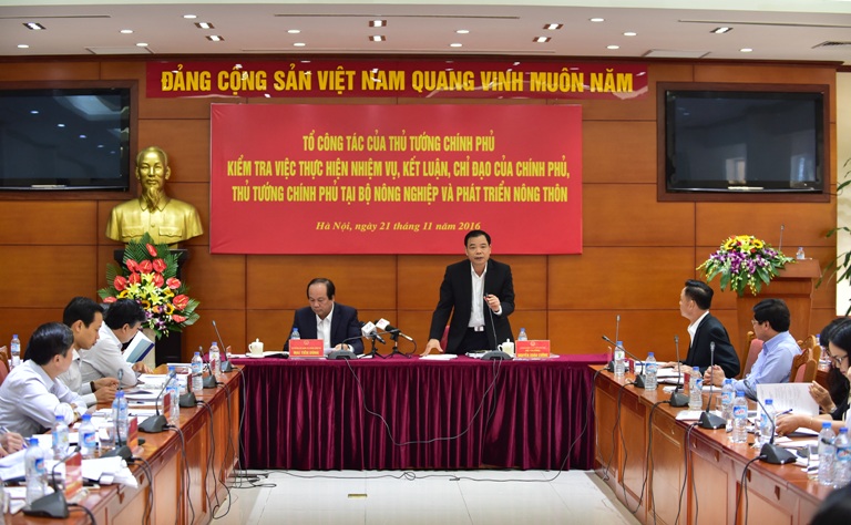 Tổ công tác của Thủ tướng làm việc với Bộ Nông nghiệp và Phát triển nông thôn, ngày 21/11.<br>