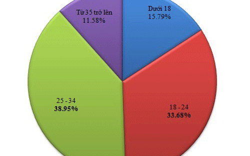 Tỉ lệ người truy cập Mobile Internet theo lứa tuổi.<br>