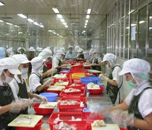 * Sàn Tp.HCM thông báo, 11/11/2008 là ngày giao dịch đầu tiên 9,6 triệu cổ phiếu của Công ty Cổ phần Basa (mã BAS-HOSE) với giá tham chiếu là 18.000 đồng và biên độ dao động giá là +/- 20% so với giá tham chiếu - Ảnh minh họa.