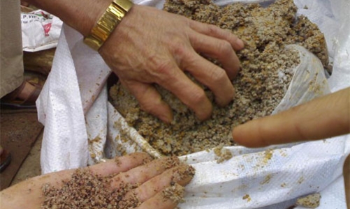 Tràn lan phân bón giả, khó quản