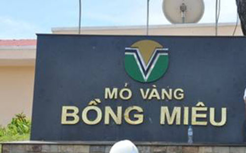 Besra Gold Inc. là một tập đoàn niêm yết đại chúng, chuyên về hoạt động 
khai thác, thăm dò và chế biến vàng cũng như các kim loại quý khác. Hoạt
 động chính của tập đoàn này là ở Việt Nam, thông qua việc nắm giữ 85% 
vốn điều lệ của PSGC và 80% vốn điều lệ của BMGMC.