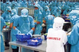 Quý 1/2011, CAD lỗ gần 6 tỷ đồng.