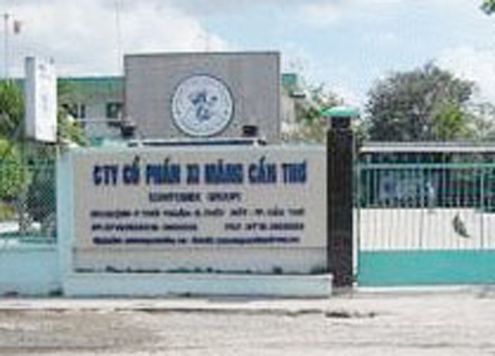 Năm 2011, CCM dự kiến lãi 15 tỷ đồng.