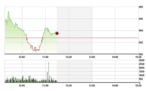 VN-Index trồi sụt sáng nay do biến động rất mạnh tại VNM - Ảnh: TVSI.