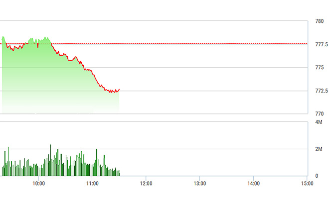 VN-Index đang không phản ánh đúng đà bán tháo trên thị trường.