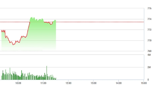 Chứng khoán sáng 11/8: Hàng đầu cơ tiếp tục lao dốc