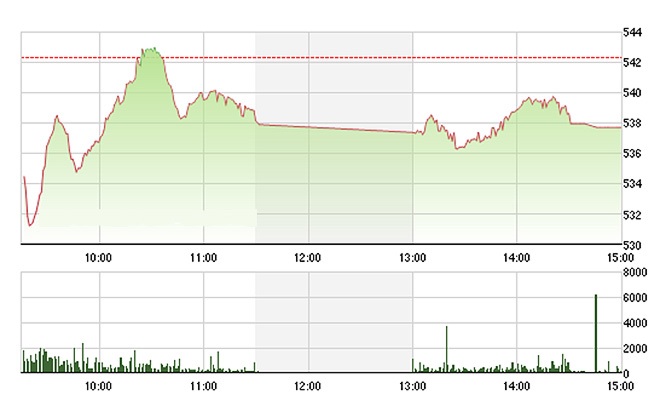 VN-Index giảm chậm hơn các chỉ số khác do Gas, BId, CTG tác động khá nhiều. ảnh Tvsi