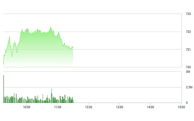 VN-Index đã trượt xuống nhẹ về cuối phiên sáng nay, nhưng vẫn trụ được trên 730 điểm nhờ VNM.