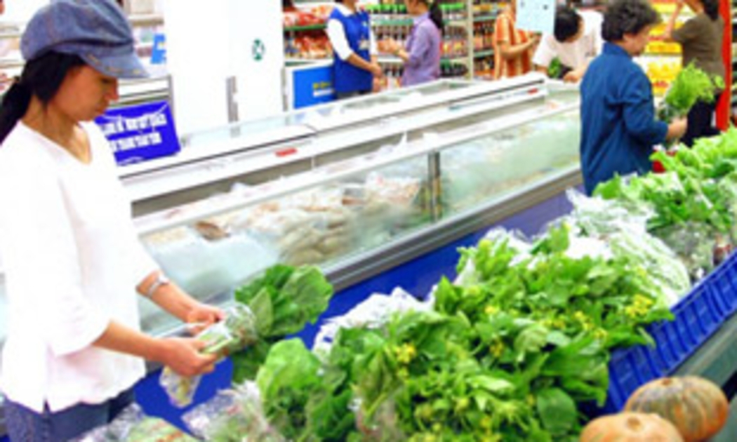 Trong năm 2009, khi cả ba yếu tố tiền tệ, chi phí đẩy và cầu kéo không còn, chí ít là sẽ bị suy yếu rất nhiều, thì không có lý gì lạm phát sẽ cao ngất ngưởng ở mức hai con số - Ảnh: Việt Tuấn.