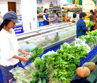 Trong năm 2009, khi cả ba yếu tố tiền tệ, chi phí đẩy và cầu kéo không còn, chí ít là sẽ bị suy yếu rất nhiều, thì không có lý gì lạm phát sẽ cao ngất ngưởng ở mức hai con số - Ảnh: Việt Tuấn.