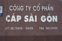 CSG dự kiến doanh thu trong tháng 12 đạt 40 tỷ đồng, lũy kế cả năm đạt 515,5 tỷ đồng.