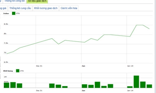 Năm 2012, CTS báo lãi 96 tỷ đồng trước thuế