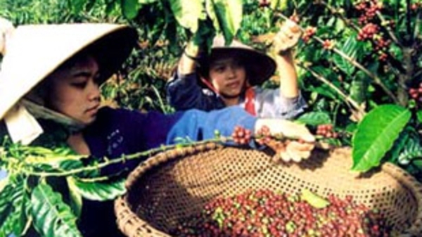 “Đánh thức” Tây Nguyên: Chuyện không chỉ là vốn!