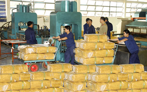 Tính đến hết tháng 10/2012, lượng xuất khẩu cao su của cả nước đạt
 815 nghìn tấn, tăng 37,7% và trị giá đạt 2,31 tỷ USD, giảm 8,7% so với 
cùng kỳ năm 2011.<br>