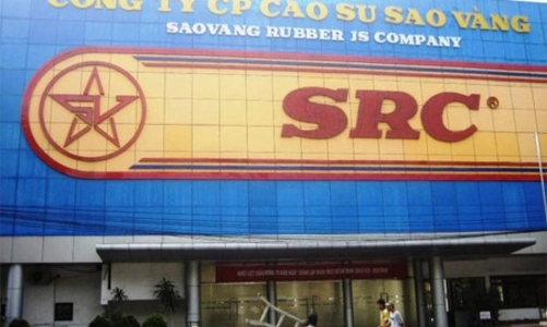 Cổ đông SRC “bác” kế hoạch xây cao ốc trên khu đất vàng