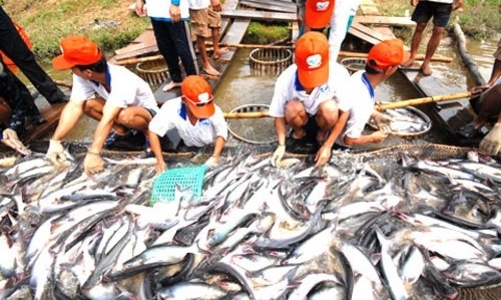 Vụ cấp khống 800 giấy lưu hành: Viện Kiểm sát vào cuộc