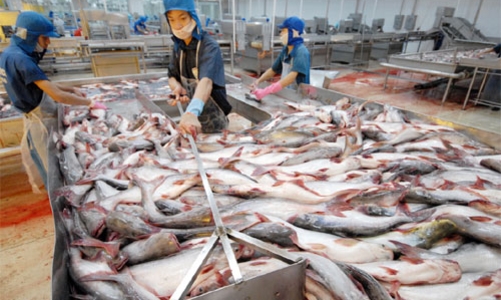 Mỹ tăng thuế chống bán phá giá cá tra