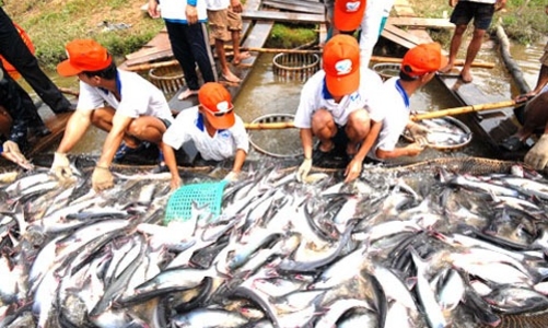 Cán bộ Tổng cục Thủy sản cấp khống hồ sơ hơn 800 sản phẩm