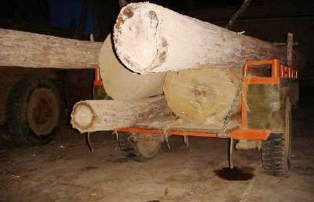 Trong những tháng cuối năm, ngành hải quan đang đẩy mạnh đấu tranh với các hành vi buôn lậu, gian lận thương mại ở các nhóm hàng có thuế suất cao, trị giá lớn, trong đó, gỗ quý cũng là một trong những nhóm hàng trọng điểm.