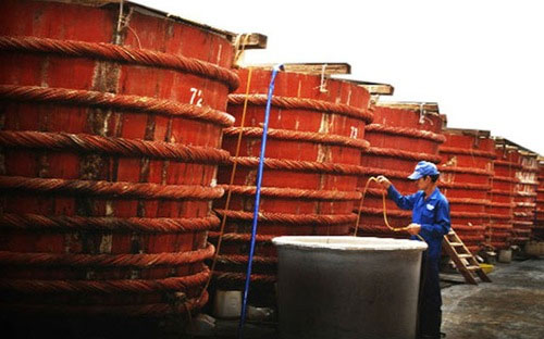 Mỗi năm, người tiêu dùng Việt Nam tiêu thụ khoảng 200 triệu lít nước mắm, trong đó 50 triệu lít là nước mắm nguyên chất (nước mắm truyền thống).