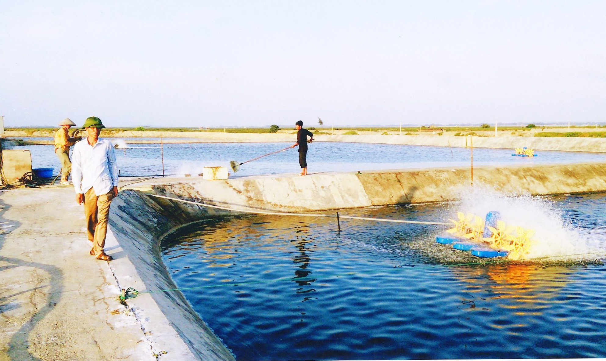 Tôm là một trong những mặt hàng xuất khẩu chủ lực trong nhóm hàng thủy sản.<br>