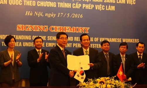 Hàn Quốc tái tiếp nhận lao động Việt sau nhiều năm gián đoạn