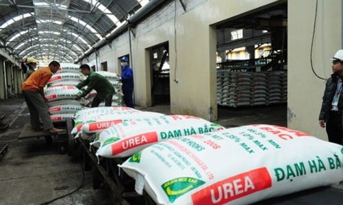 Vì sao hai doanh nghiệp phân đạm tỷ USD rơi vào cơn bĩ cực?