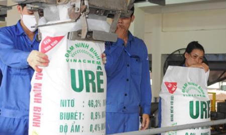 Nhà máy Đạm Ninh Bình do Vinachem làm chủ đầu tư có quy mô công suất 560.000 tấn/năm, tổng mức đầu tư 667 triệu USD.