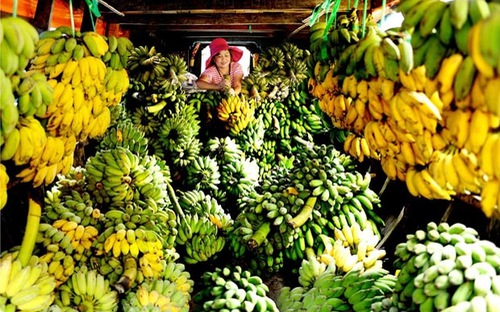 Trung Quốc là thị trường số một của nông sản Việt.<br><br>