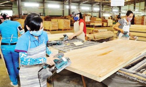Tân Liên Phát “lỗ nặng” khi tháo chạy khỏi Gỗ Trường Thành 