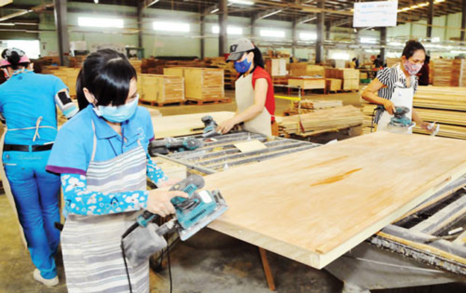Đóng cửa phiên giao dịch ngày 4/4, giá cổ phiếu TTF chỉ còn 8.000 đồng/cổ phiếu. 