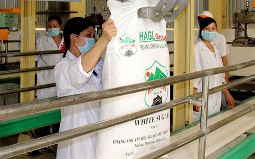 Sảm phẩm đường của Hoàng Anh Gia Lại tại Lào.<br>