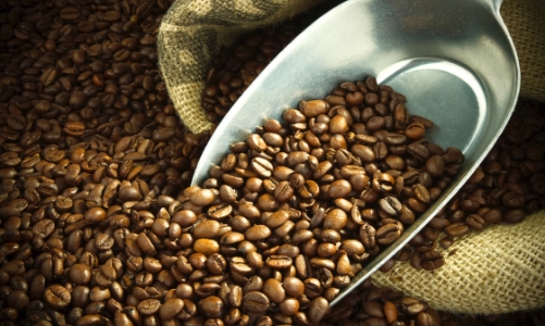 Tỷ trọng xuất khẩu hàng nông sản ngày một giảm mạnh