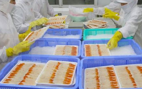  VASEP cho biết, nguồn nguyên liệu thiếu trầm trọng, trong khi 
đầu ra của sản phẩm cũng bị co lại, nên doanh nghiệp thu mua 
nguyên liệu trong 8 tháng chỉ đạt khoảng 40% và doanh số cũng 
bị giảm mạnh.