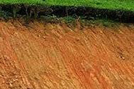 Sản phẩm mỏ Thường Tân của DHA.