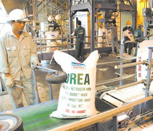 Năm 2009, Tổng công ty có kế hoạch sản xuất 750.000 tấn urea và cùng với lượng nhập khẩu  bán ra thị trường khoảng 1 triệu tấn phân bón.