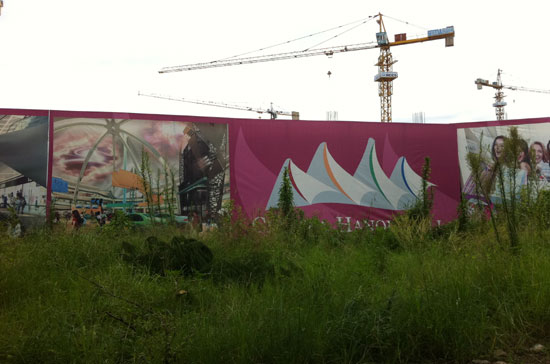 Hiện gần chục cần cẩu của nhà thầu HIGS vẫn nằm tại hiện trường, nhưng không có bất kỳ một hoạt động xây dựng nào.