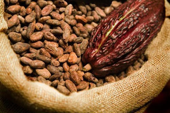 Đóng cửa trên sàn ICE, giá ca cao giao tháng 9 hạ 2 USD, còn 2.195 USD/tấn. 