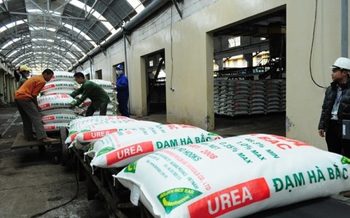 Người trực tiếp quản lý, điều hành sản xuất có trình độ đại học trở lên 
một trong các chuyên ngành về lĩnh vực trồng trọt, bảo vệ thực vật, nông
 hóa thổ nhưỡng, nông học, hóa học, sinh học.