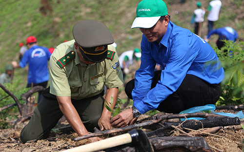 Dự án triển khai tại 2 xã Nông Thượng và Xuất Hóa của thị xã Bắc Kạn với tổng diện tích trồng rừng 490 ha. 