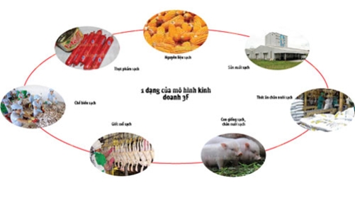 Cuộc bành trướng của C.P