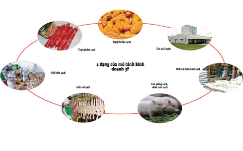 Một dạng của mô hình kinh doanh 3F.