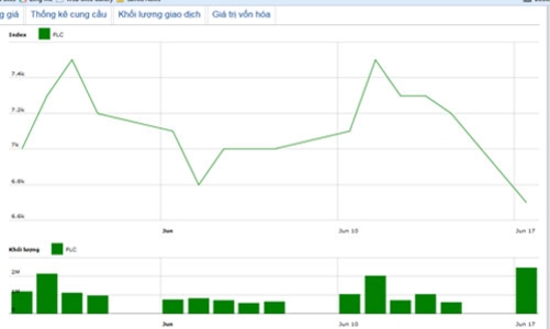 Chủ tịch FLC đăng ký mua gần 13% cổ phần FLC