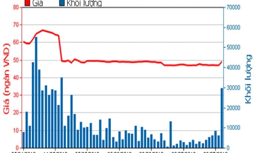 6 tháng, FPT báo lãi hợp nhất đạt 1.205 tỷ đồng 