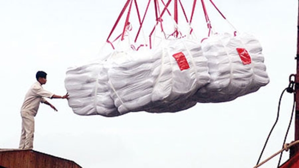 Gạo Việt Nam vững giá nhờ bán được cho châu Phi