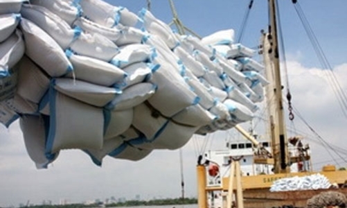 Nghịch lý hạt gạo Việt Nam